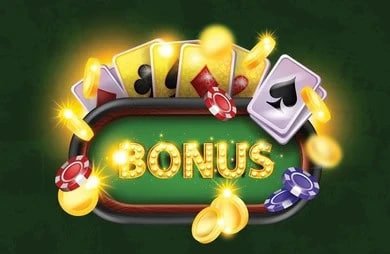Bóng đá Việt Nam – V.League 1 và đội tuyển quốc gia tại wivn